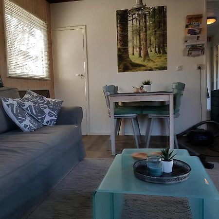Chalet Gaasterland Bos-Ijsselmeer 4 Pers. Rijs Extérieur photo